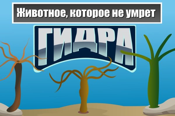 Кракен это наркозависимость