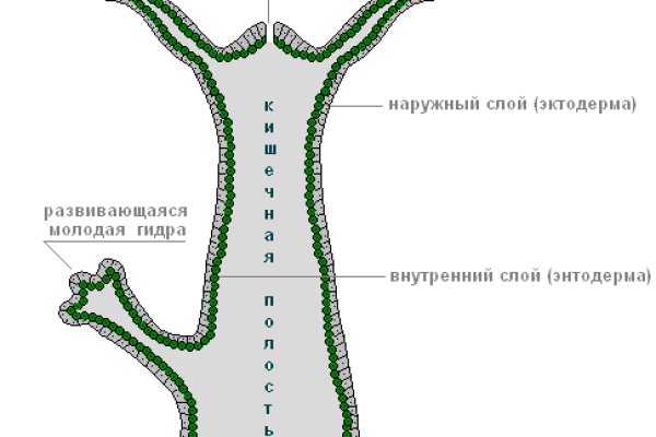 Кракен рабочая ссылка на сайт