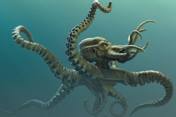 Kraken официальный сайт ссылка