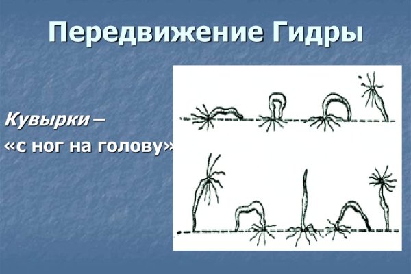 Kraken cc зеркало kr2web in