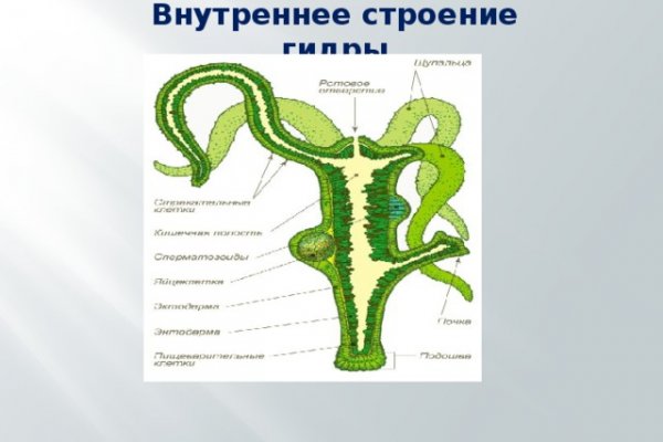 Кракен омг мега