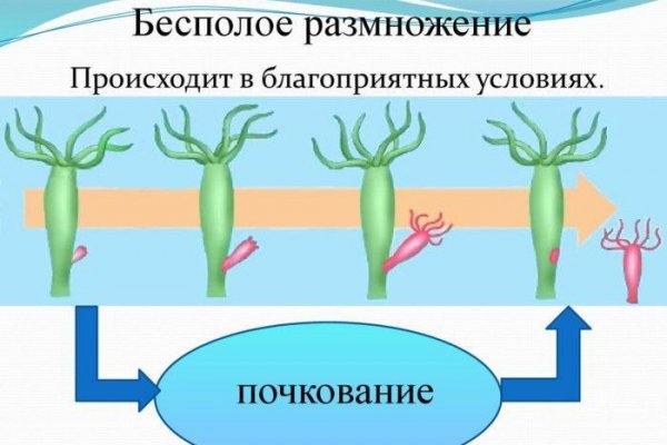 Ссылка на кракен kr2link co